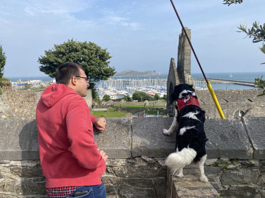 Dublin: Dublin Coastal Hike and Pints & Puppies - The 700-year-old castle stop: why history sounds better on cliffs