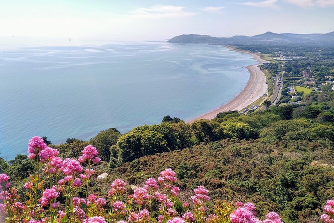 Dublin (Dun Laoghaire) Top-Rated Coastal Walking Tour - People’s Park and The Metals Laneway: Local Green Space and Old Railway Clues