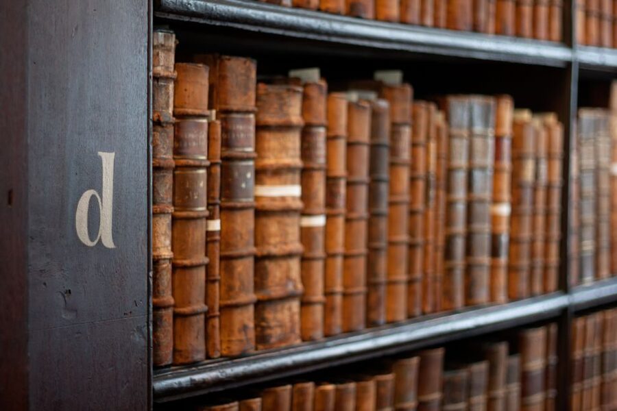 Dublin: Fast-Track Book of Kells Ticket & Dublin Castle Tour - What you actually learn at the manuscript