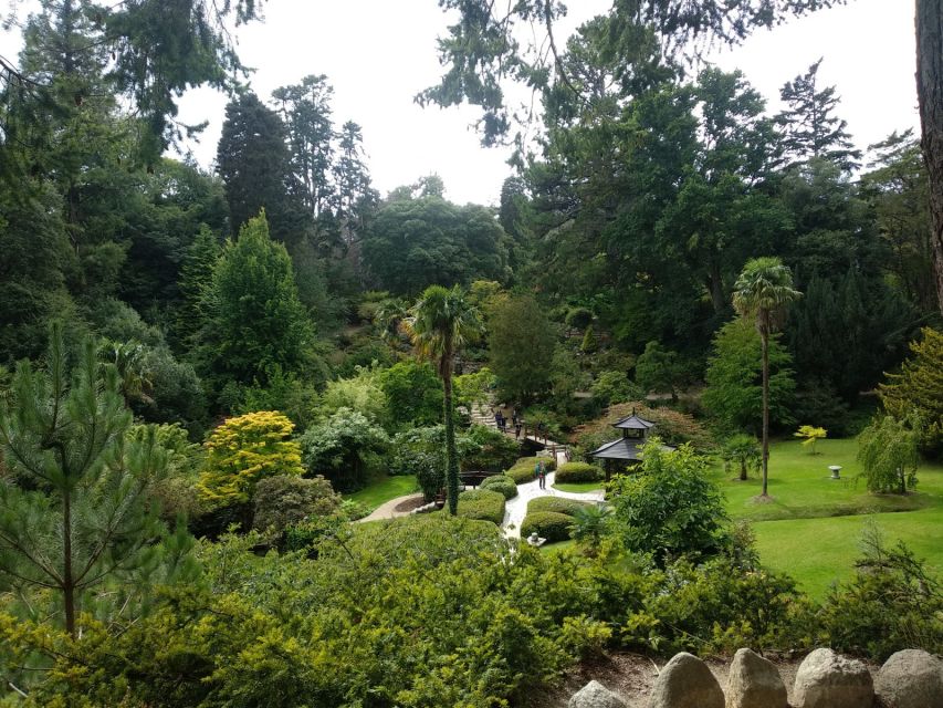 Dublin: Full-Day Wicklow Mountains Tour w/ Glendalough Visit - Practical tips for a smoother Wicklow day