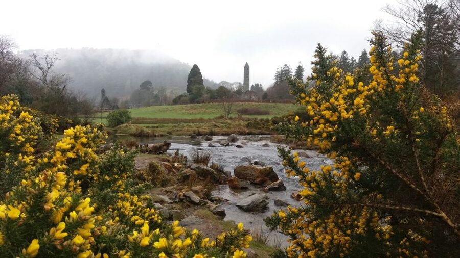 Dublin: Full-Day Wicklow Mountains Tour w/ Glendalough Visit - Glendalough National Park: St. Kevin, the lakes paths, and a guide who actually teaches