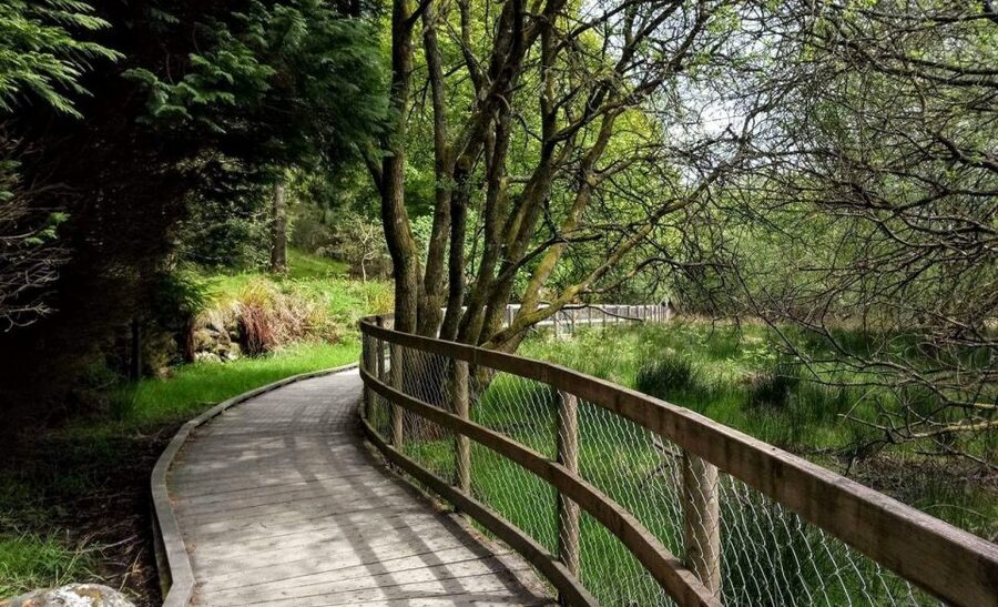 Dublin: Full-Day Wicklow Mountains Tour w/ Glendalough Visit - Price and value: is $67 a good deal for this day?