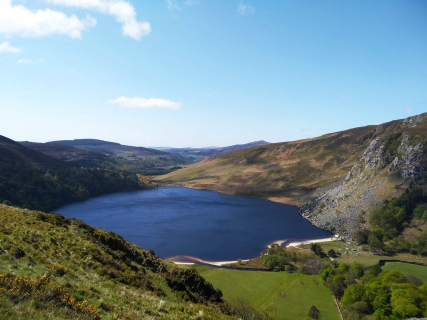 Dublin: Full-Day Wicklow Mountains Tour w/ Glendalough Visit - Getting to Wicklow: meeting at RIU Gresham and coach timing