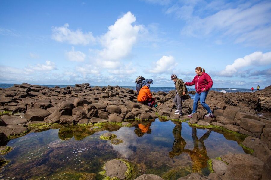 Dublin: Giant's Causeway & Belfast (Titanic or Black Taxi) - Giant’s Causeway: walking the basalt columns with the right amount of time