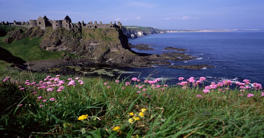 Dublin: Giant's Causeway & Belfast (Titanic or Black Taxi) - Returning to Dublin via a different route, and what to do with your evening