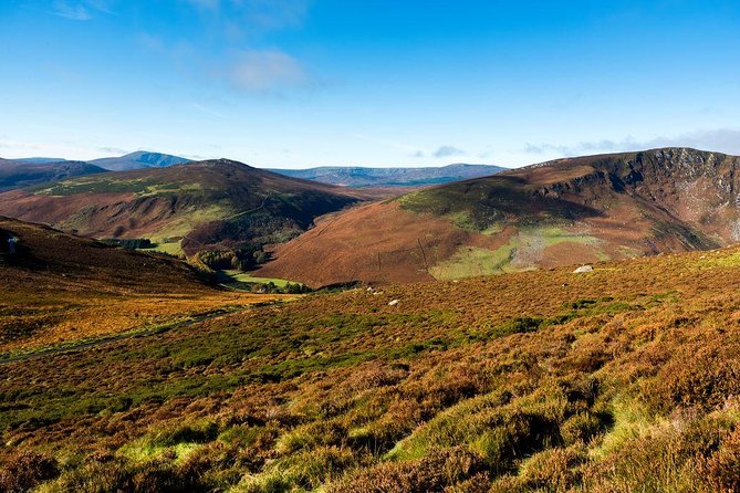 Dublin: Glendalough, Wicklow, Kilkenny and Sheepdog demonstration - Ballybought Sheepdog Demonstration: The Working Farm Stop You Should Not Miss