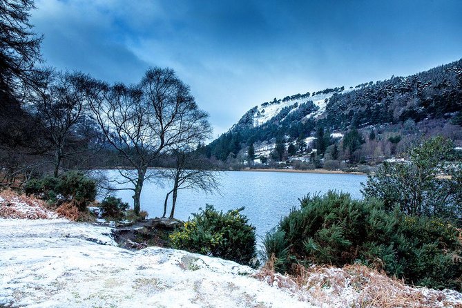 Dublin: Glendalough, Wicklow, Kilkenny and Sheepdog demonstration - The Bus Ride Details That Actually Affect Your Comfort