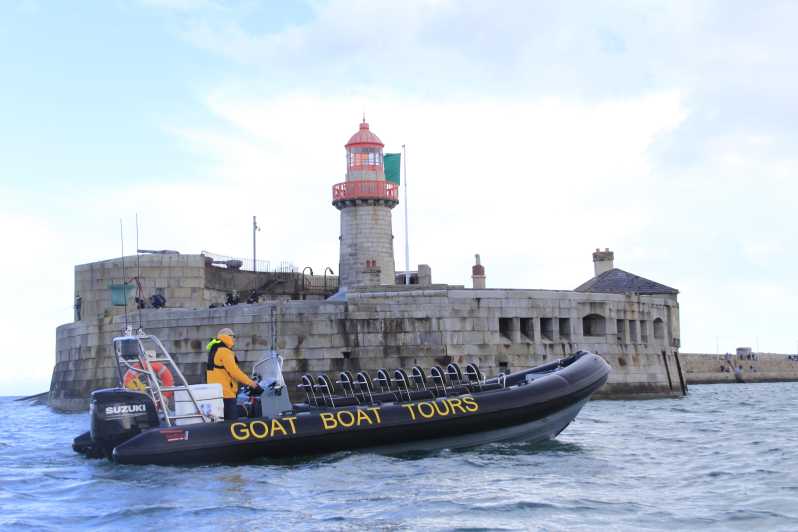 Dublin: History and Wildlife Boat Tour with Live Commentary - Gear Up for Rain, Wind, and Real Water Spray