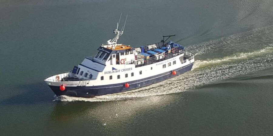 Dublin: Howth Cliffs and Ireland's Eye Boat Cruise - Ireland’s Eye from the water: seals and birds, but no landing