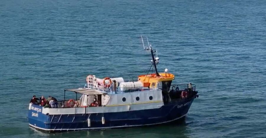 Dublin: Howth Cliffs and Lighthouse Boat Tour - Why Howth Cliffs Work So Well From a Boat