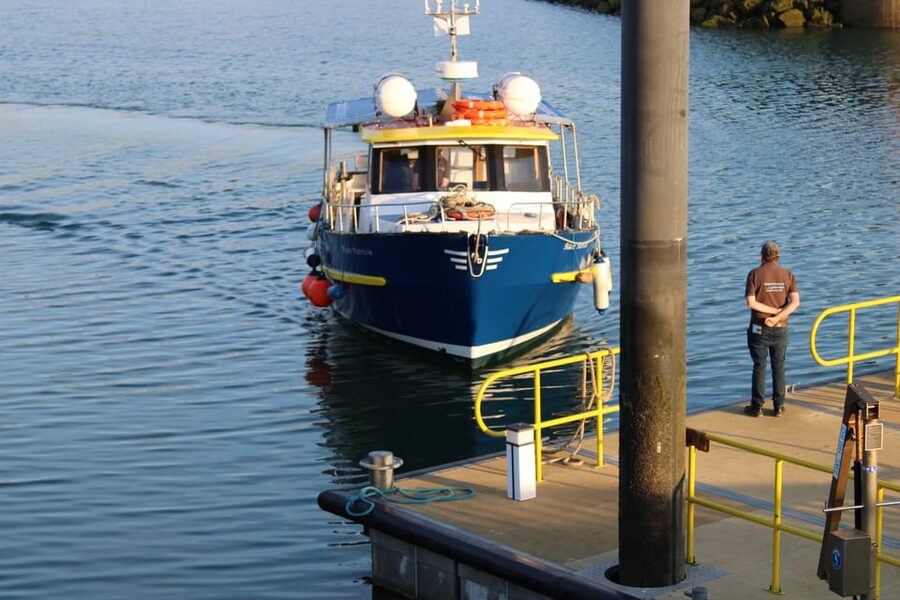 Dublin: Howth Cliffs and Lighthouse Boat Tour - Meeting on the West Pier: Easy Route from Howth Train Station