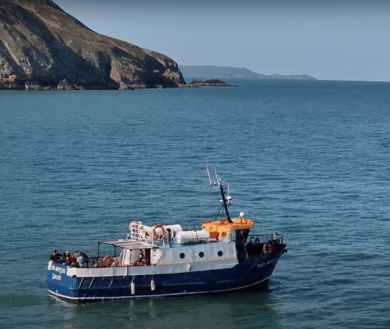 Dublin: Howth Cliffs and Lighthouse Boat Tour - Wildlife Time in the Dublin Bay Biosphere: Seals, Sea Birds, and Puffin Odds