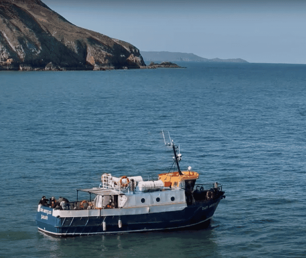 Dublin: Howth Cliffs and Lighthouse Boat Tour - Price and Value: Is $28 Worth It?