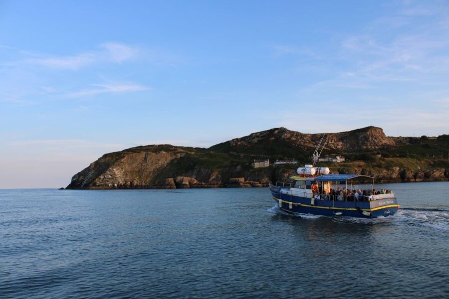Dublin: Howth Cliffs and Lighthouse Cruise - Key things that make this cruise worth your time