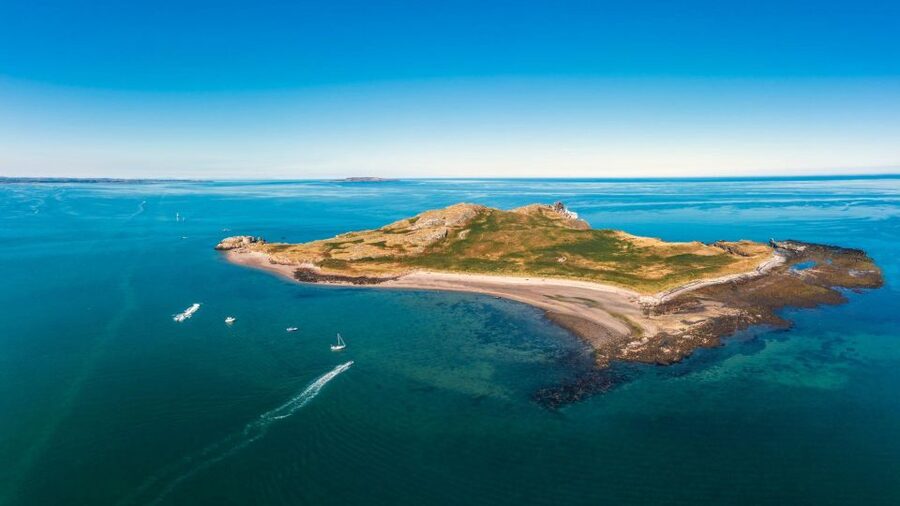 Dublin: Howth Cliffs and Lighthouse Cruise - Dublin Bay Biosphere: wildlife viewing without the long hike