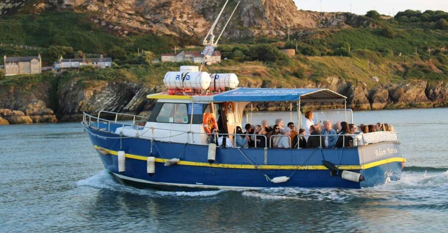 Dublin: Howth Cliffs and Lighthouse Cruise - Price and value: is $28 a fair deal?