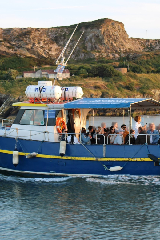 Dublin: Howth Coast and Ireland's Eye Boat Tour - Irelands Eye from the water: wildlife sanctuary energy, no landing stress
