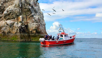 Dublin: Howth Coastal Boat Tour - Howth’s 9 W Pier start is simple, scenic, and local