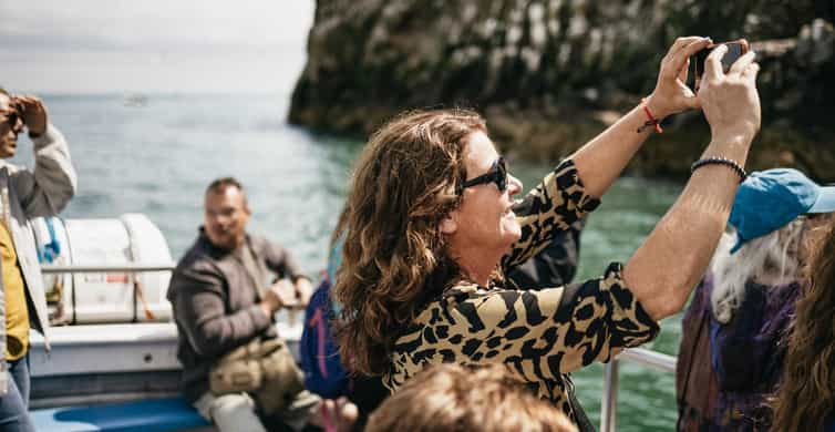 Dublin: Howth Coastal Boat Tour - Ireland’s Eye and the Dublin Bay Biosphere: why this route matters