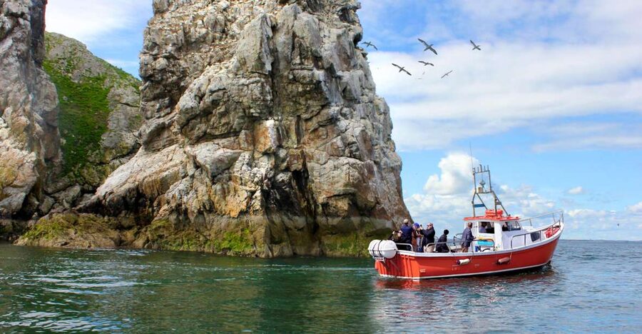 Dublin: Howth Coastal Boat Tour - Live commentary and Irish music: what to expect and how to adapt