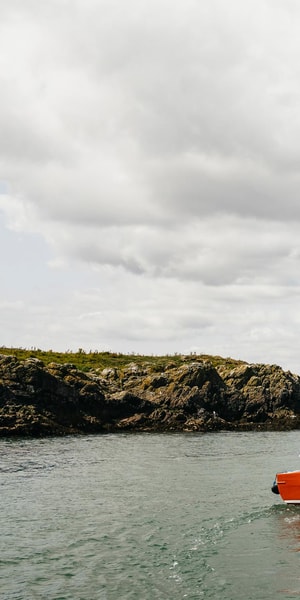 Dublin: Howth Coastal Boat Tour - How to plan your Howth day around this cruise