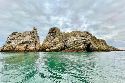 Dublin: Howth Coastal Boat Tour - Should you book the Dublin: Howth Coastal Boat Tour?