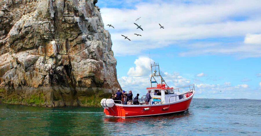 Dublin: Howth Coastal Boat Tour - The 50-minute loop: cliffs, sea caves, and the named bird rock, the Stack