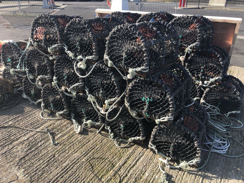 Dublin: Howth Coastal Craft Beer and Seafood Tour - Who this tour fits best, and who should choose something else