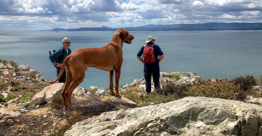 Dublin: Howth Coastal Hiking Tour - Key highlights at a glance