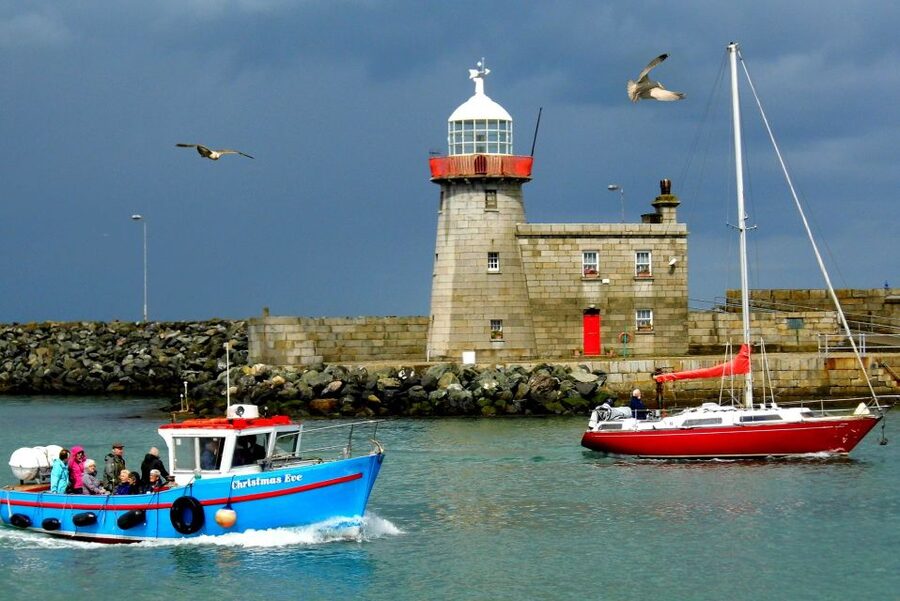 Dublin: Howth Coastal Hiking Tour - Howth Harbour Finale: Seals, Village Life, and a Real Food Plan