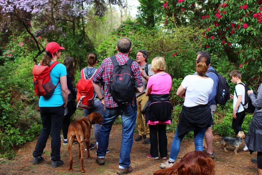 Dublin: Howth Coastal Hiking Tour - Howth Village Lanes: A Traditional Stop That Changes How You See the Harbour