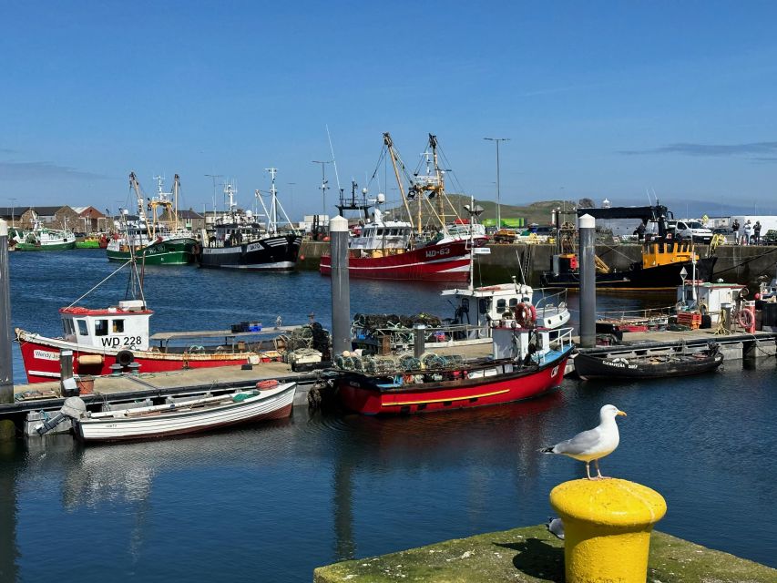 Dublin: Howth Coastal Hiking Tour - Viewpoint and the Climb: Photo Stops Without the Frenzy