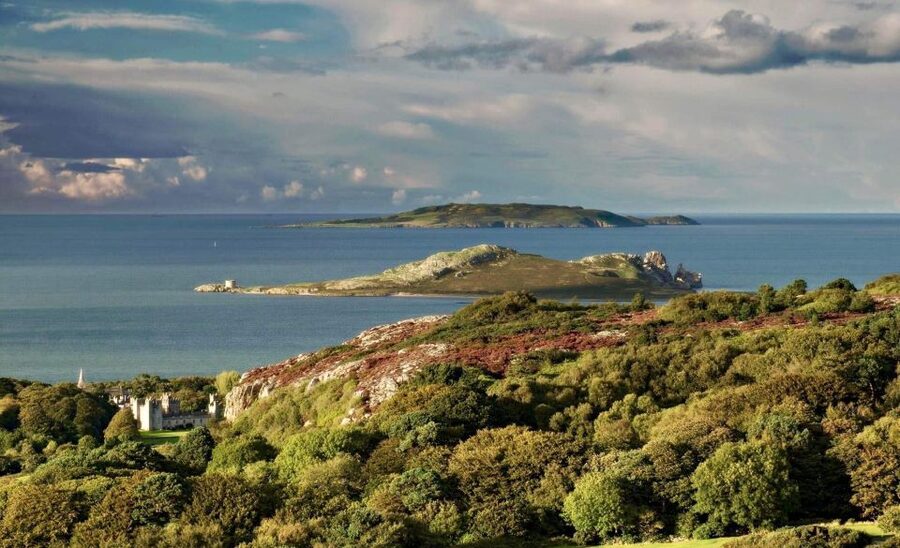 Dublin: Howth Coastal Hiking Tour - Ben of Howth Summit: The HG Wells View You Came For