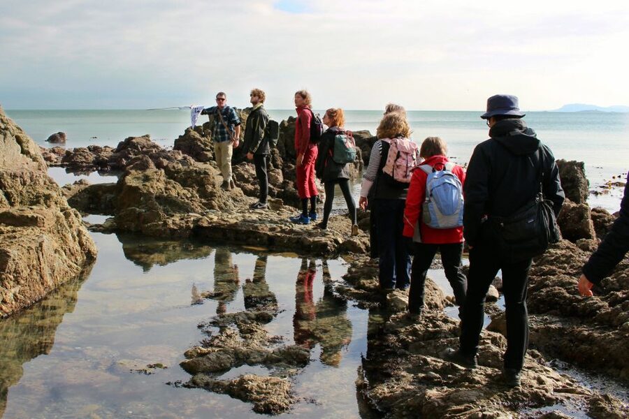 Dublin: Howth Safari Hiking Tour - Red Rock to Doldrum Beach: where the footing and the photos both matter