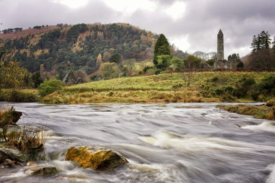 Dublin: Kilkenny, Wicklow & Glendalough Tour & Sheepdog Show - A working Irish sheep farm and the sheepdog demonstration