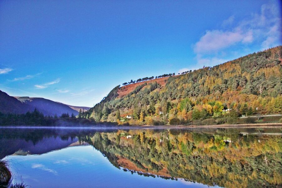 Dublin: Kilkenny, Wicklow & Glendalough Tour & Sheepdog Show - Who this day trip is perfect for, and who should skip it