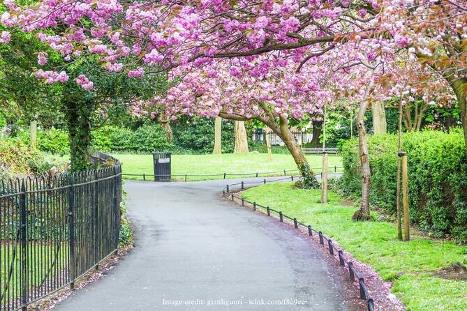 Dublin Off-The-Beaten-Path Private Literary Walking Tour - Price and value: what $170 per person buys you in 2.5 hours