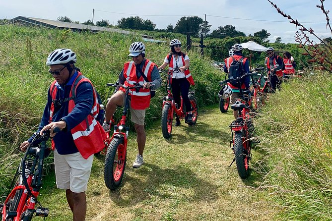 Dublin Panoramic e-Bike Tour with Howth Adventures - Howth Head: The Panoramic Payoff at the Top