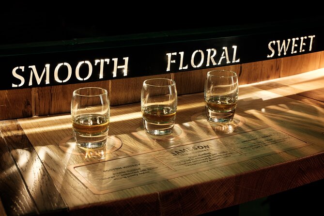 Dublin Private Guinness and Jameson Whiskey Tour with Transfers - Who this tour is best for, and who should skip it