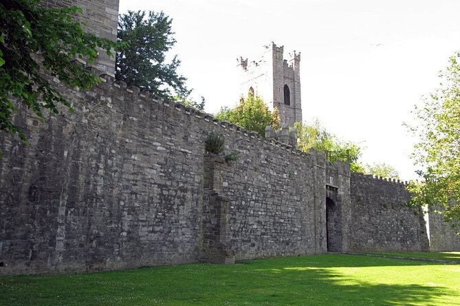 Dublin Private Medieval Walking Tour - Saint Patrick’s Cathedral: A 5th-Century Origin Story