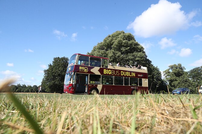 Dublin Shore Excursion, Live Guided Open-top, Hop-on Hop-off Sightseeing Tour - Night tour add-on, if you want Dublin after sunset