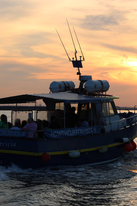 Dublin: Sunset Cruise in Howth - Ireland’s Eye at sunset: the nature reserve factor
