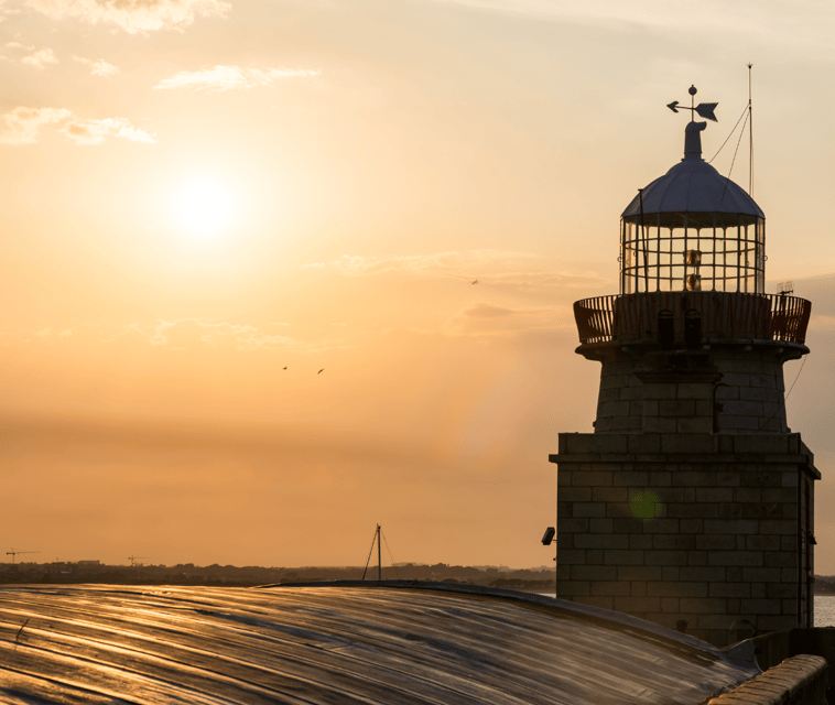 Dublin: Sunset Cruise in Howth - Wildlife spotting without the stress
