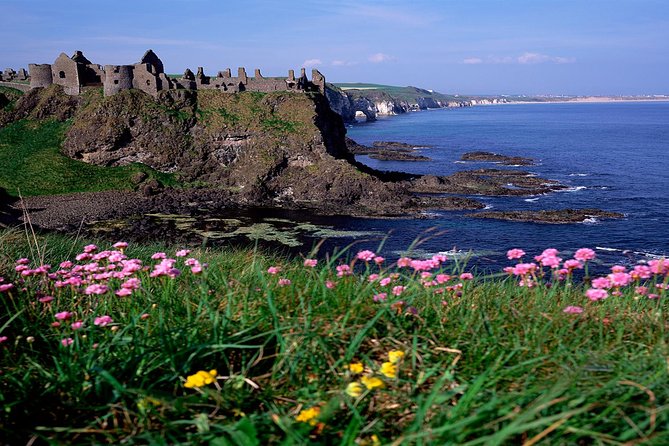 Dublin to Belfast Black Cab, Dunluce Castle and Giant's Causeway - Giant’s Causeway at 2:30 PM: basalt columns, trails, and the short hike choice