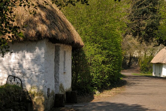 Dublin to Cliffs of Moher, Ennis Town & Bunratty Castle Day Tour - Getting the Most Out of Guides, Driver, and On-Board Time