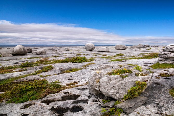 Dublin to Cliffs of Moher, including Wild Atlantic Way and Galway - Key highlights worth waking up for
