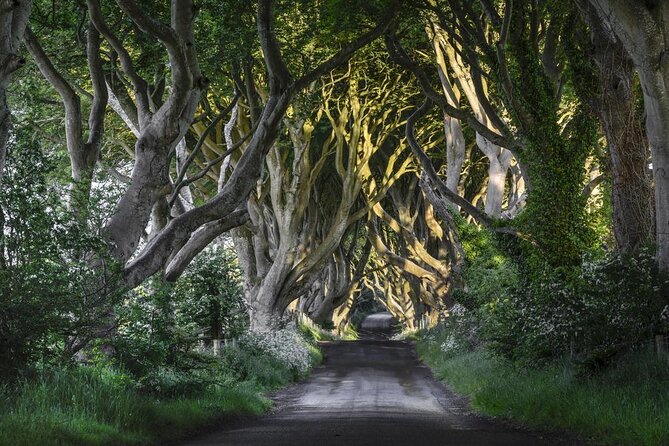 Dublin to Dunluce Castle, Giant's Causeway, Dark Hedges & Belfast - Key highlights you will feel fast