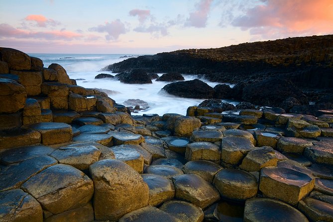 Dublin to Dunluce Castle, Giant's Causeway, Dark Hedges & Belfast - Dark Hedges: a 20-minute Game of Thrones stroll with the Grey Lady vibe