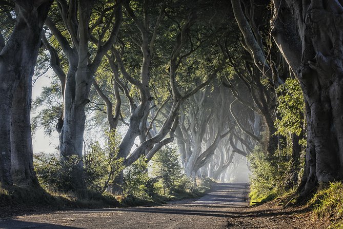 Dublin to Dunluce Castle, Giant's Causeway, Dark Hedges & Belfast - What you learn on the drive: coast views and a human story behind the sights