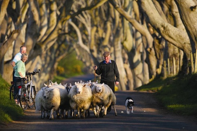 Dublin to Dunluce Castle, Giant's Causeway, Dark Hedges & Belfast - Dunluce Castle: Pyke’s cliff, Clan MacDonnell, and a quick hit with huge atmosphere